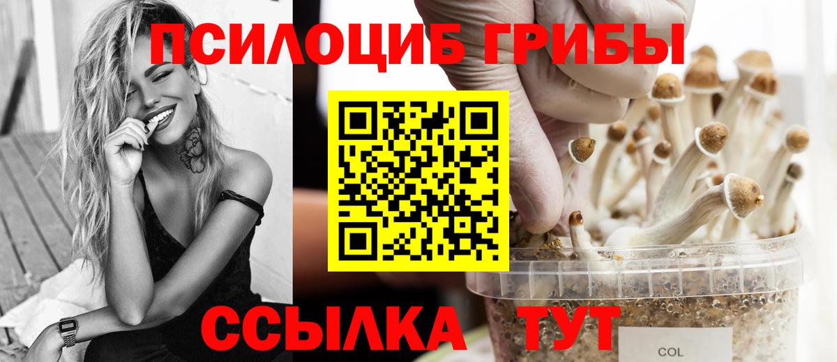 Псилоцибиновые грибы MAGIC MUSHROOMS Новоалександровск