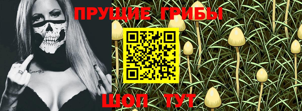 Новоалександровск  Галлюциногенные грибы MAGIC MUSHROOMS  Вход с VPN 